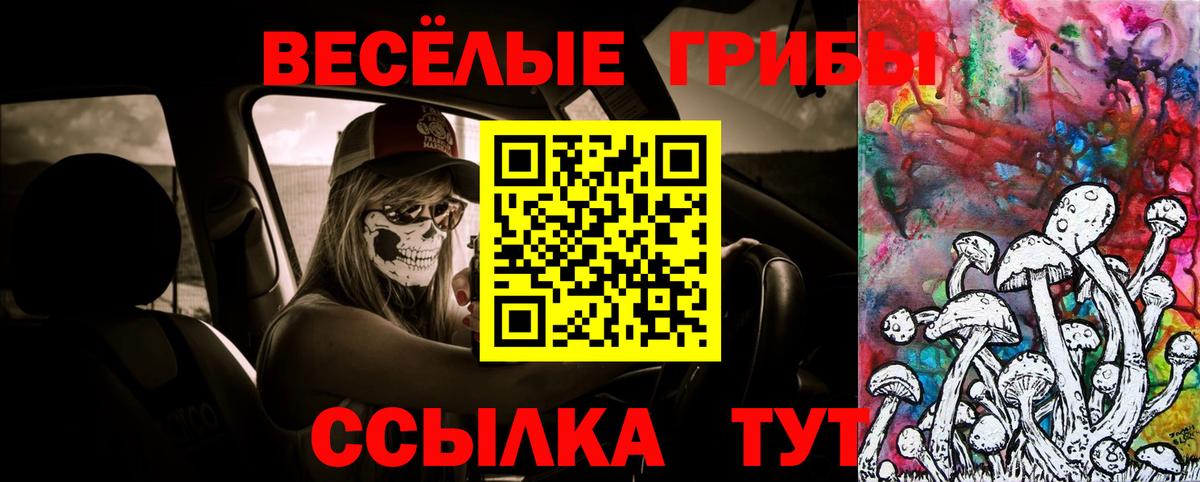 Псилоцибиновые грибы Cubensis Ишим