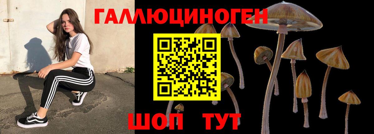 наркотики  Вход с VPN  Ишим  Псилоцибиновые грибы Psilocybine cubensis  Псилоцибиновые грибы мухоморы 